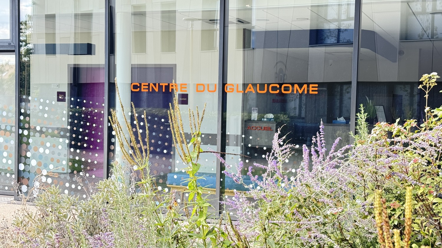 glaucome